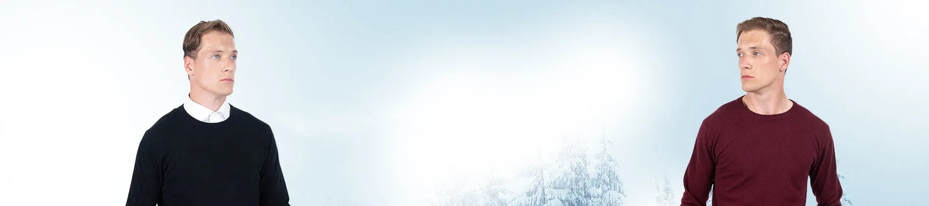 Cashmere Men's Round Necks