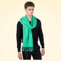 Large Cashmere and Silk Pashmina Scarf - TCG London
