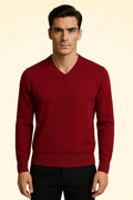 Regular Fit Cashmere V-Neck Jumper - TCG London