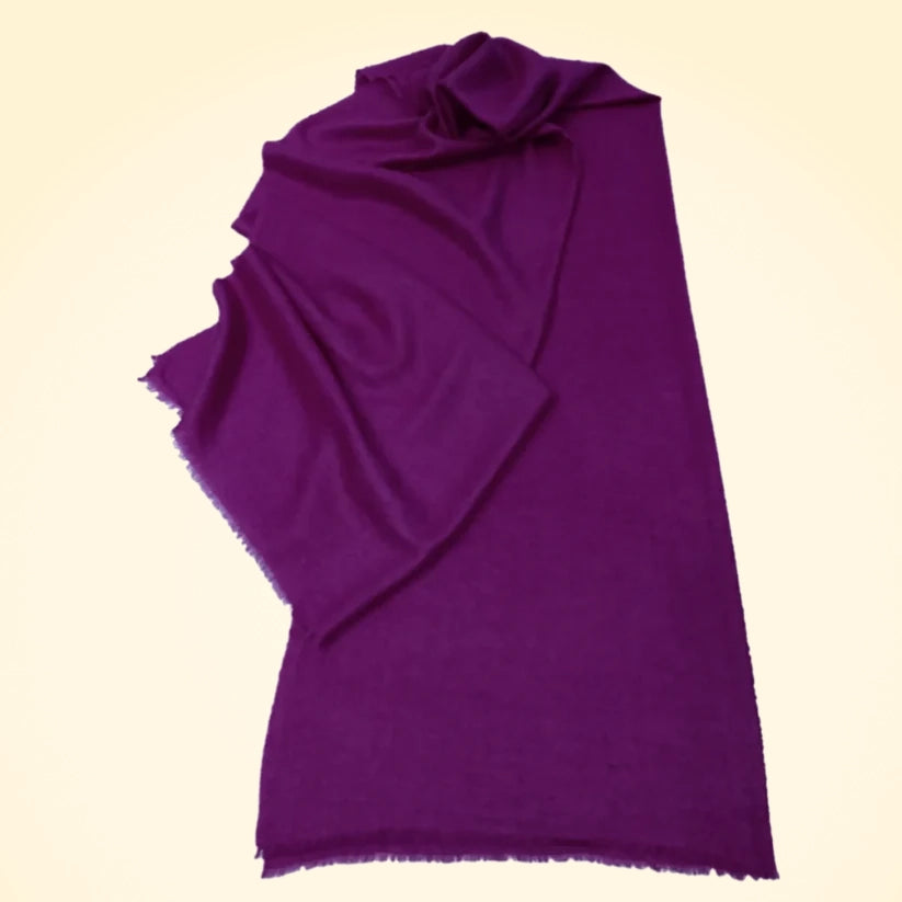 Large Fine and Lightweight Cashmere Pashmina Stole - TCG London