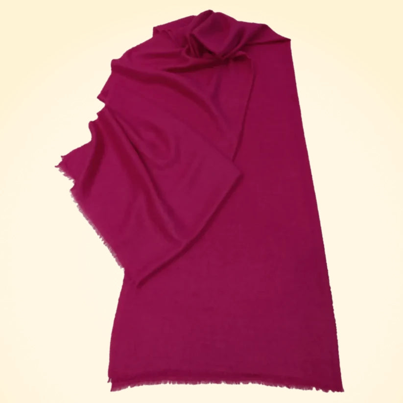 Large Fine and Lightweight Cashmere Pashmina Stole - TCG London